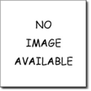 Picture of LeaP Nametag